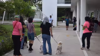 UNAM alerta sobre el Síndrome del Arca de Noé, un trastorno poco visibilizado en Yucatán