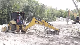 Pierde Quintana Roo 130 mil hectáreas de bosque primario húmedo en 23 años