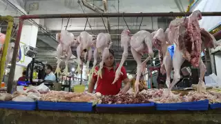 Yucatecos adelantan la compra del pavo a 20 días para la Navidad
