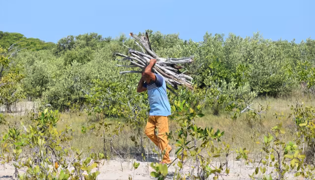 Yucatán busca liderar discusión climática con foro sobre conservación costera