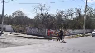 Multan hasta por 30 mil pesos a 40 dueños de terrenos baldíos en Mérida por su abandono