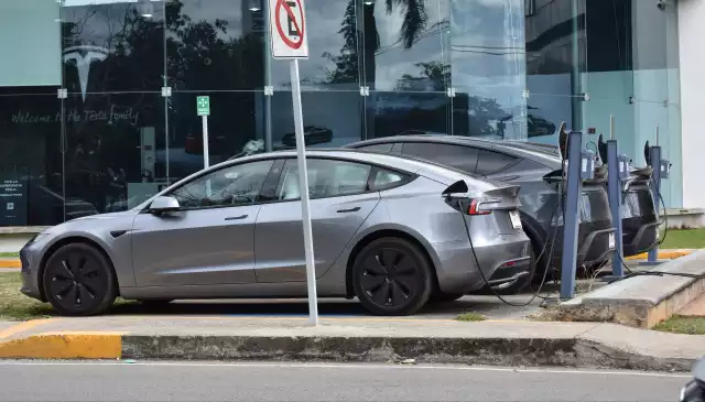 Cifras oficiales señalan que en el 2025 se comercializaron 313 unidades, 47 menos que el 2024