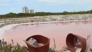 Salinera maya de Xtampú, en riesgo de desaparecer; solo quedan 13 charcas para la extracción artesanal