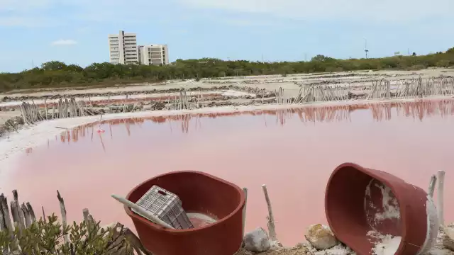 El desarrollo de proyectos inmobiliarios entre Telchac y Dzemul afecta la producción de ese condimento