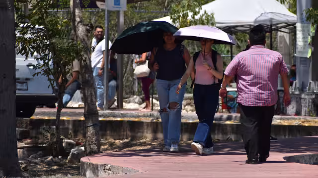 Las temperaturas superiores a 40 grados incrementan el riesgo de incendios forestales