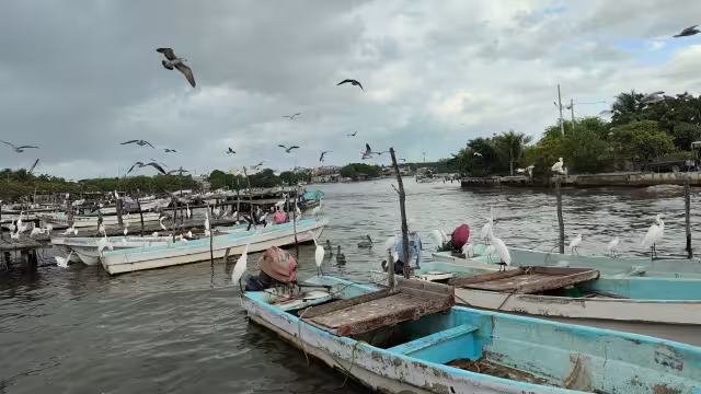 Programa de financiamiento "Pesquero y Acuícola" de Bancampeche