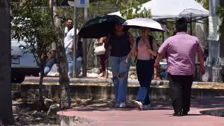 Conagua alerta a Mérida y 17 municipios de Yucatán por calor extremo de casi 50 grados
