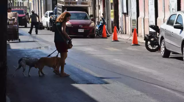 Activistas contabilizan 850 denuncias formales ante la FGE este año, pero el proceso es lento