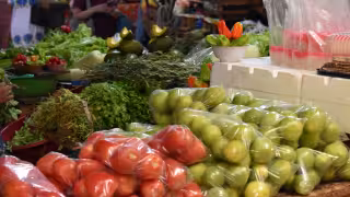 Precio del limón se desploma en Yucatán; productores venden el kilo por menos de 2 pesos