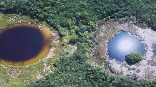 Agua, tema prioritario en Yucatán;  institutos de educación superior e investigación colaboran con el Gobierno para protegerla 