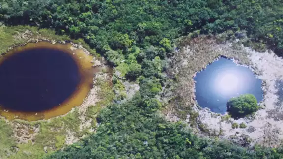 Se necesita medir la cuenca de Yucatán, determinar los focos y el grado de contaminación para que se revierta ese daño Se necesita medir la cuenca de Yucatán, determinar los focos y el grado de contaminación para que se revierta ese daño
