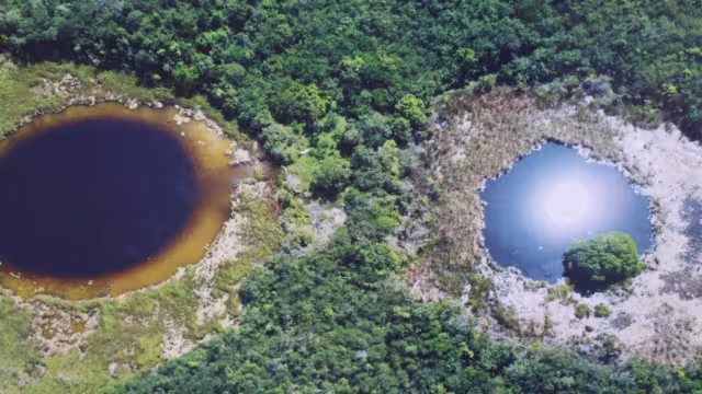 Se necesita medir la cuenca de Yucatán, determinar los focos y el grado de contaminación para que se revierta ese daño