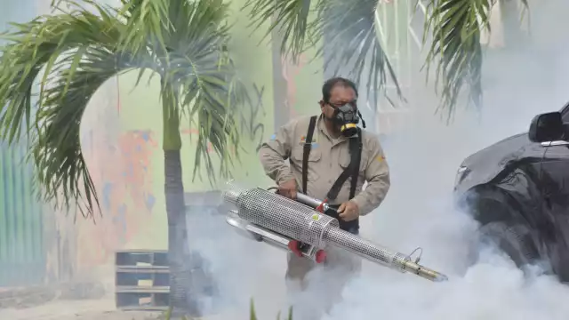 La temporada de lluvias agrava los casos de dengue en Quintana Roo
