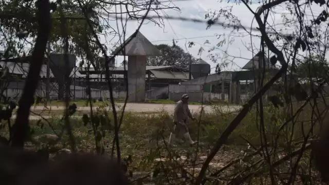 La granja de cerdos en Santa María Chi ha dejado grave contaminación