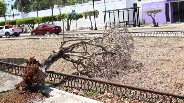 Las proyecciones interactivas que se hacían en el espacio quedaron suspendidas desde el 1 de febrero