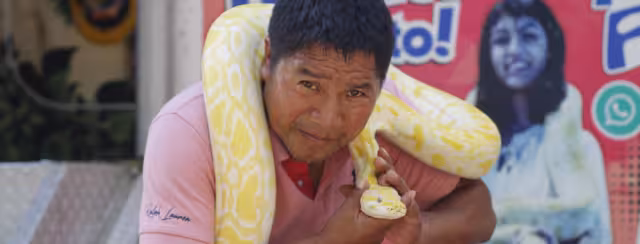 Hay serpientes de gran tamaño que habitan en México