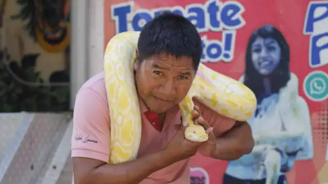 Hay serpientes de gran tamaño que habitan en México