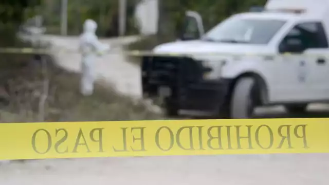 El 51% de las denuncias se han registrado durante 2024