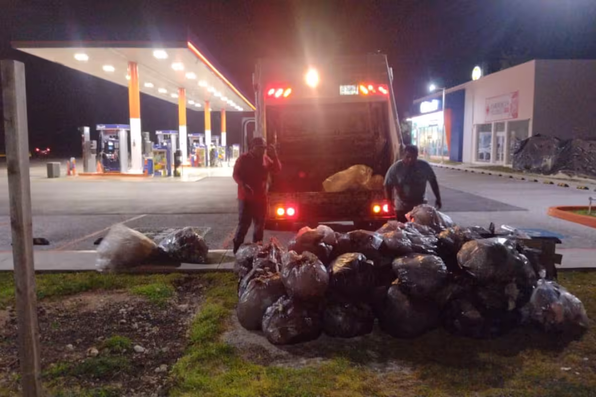 Más de 100 toneladas de basura se generan a diario en Isla Mujeres ...