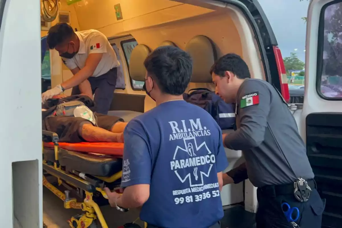 Quintana Roo rompe récord: Casi mil 500 baleados en lo que va del 2025