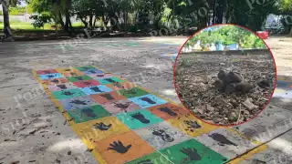 Parque Tikal de Cancún considerado un “foco de infección": Vecinos lidian con problemas de higiene