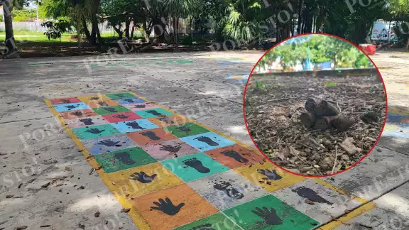 Amas de casa pidieron a dueños de mascotas responsabilizarse de sus animales y a las autoridades exigieron contenedores