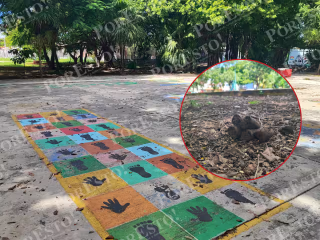 Amas de casa pidieron a dueños de mascotas responsabilizarse de sus animales y a las autoridades exigieron contenedores