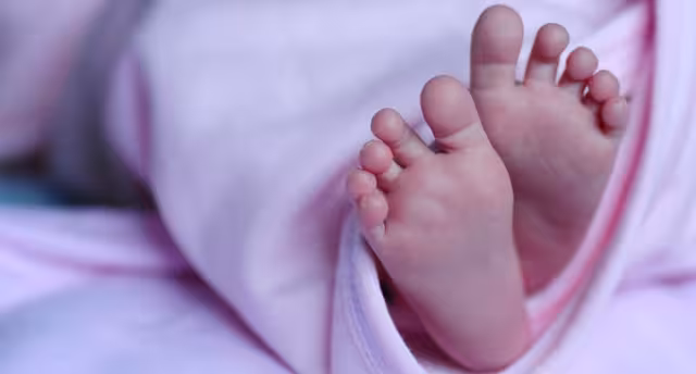 Muere bebé de seis semanas tras ser atacada por su husky