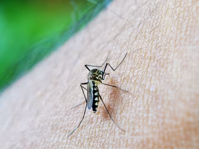 Recomiendan que, de presentarse algún síntoma, el enfermo acuda a la unidad médica de cualquier institución cercana