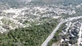 La vegetación de la ciudad ha sido devastada para la creación de nuevos desarrollos habitacionales