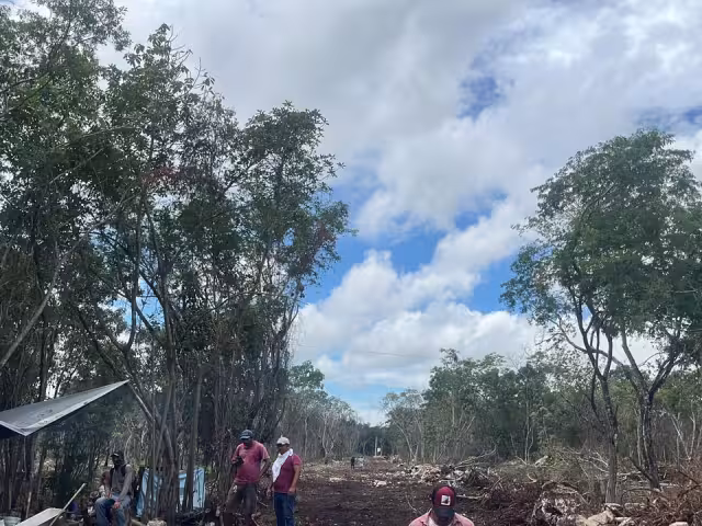 La Fiscalía informó que los detenidos enfrentarán cargos por daños a la propiedad y delitos ambientales.
