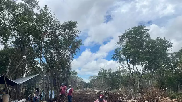 La Fiscalía informó que los detenidos enfrentarán cargos por daños a la propiedad y delitos ambientales.