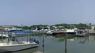 Según Asociados Náuticos de Quintana Roo, en Benito Juárez es donde más afecta a los prestadores de servicios, la presencia de touroperadores sin permiso