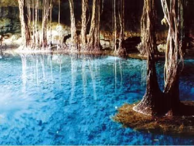 Cenotes de Campeche