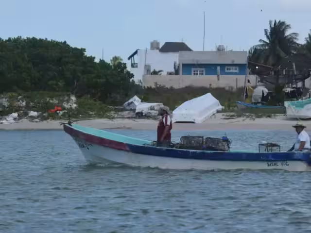 Se suspende la actividad para que las especies se multipliquen.