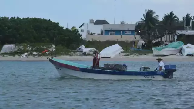 Se suspende la actividad para que las especies se multipliquen.