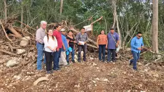 Acusan a Grupo Crío de continuar trabajos en un predio clausurado por Profepa cerca de la zona maya de Tzemé