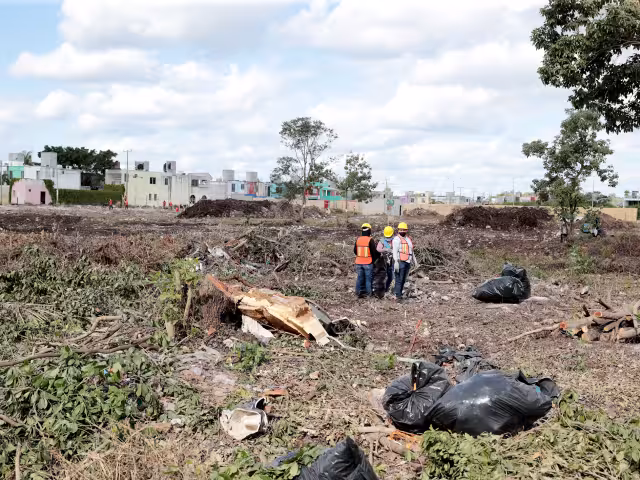 Urbanización convierte al estado en el segundo que mayor deforestación presenta en los últimos 15 años.