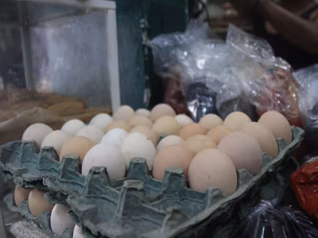 Recomiendan a los consumidores que adquieran el producto donde sea económico