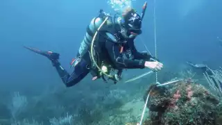  En Campeche, hallan vestigios mayas subacuáticos cerca  de cenotes   