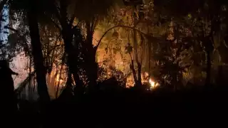Incendio de maleza pone en riesgo viviendas en la colonia Concordia de Escárcega 