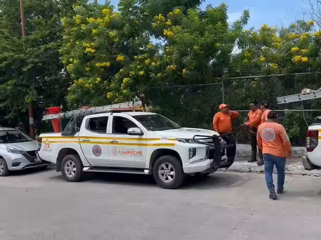 Controlan ataque de abejas en escuela de Campeche; un ciudadano resultó lesionado