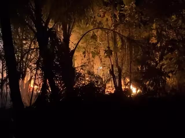 Incendio de maleza puso en riesgo a habitantes de la Concordia