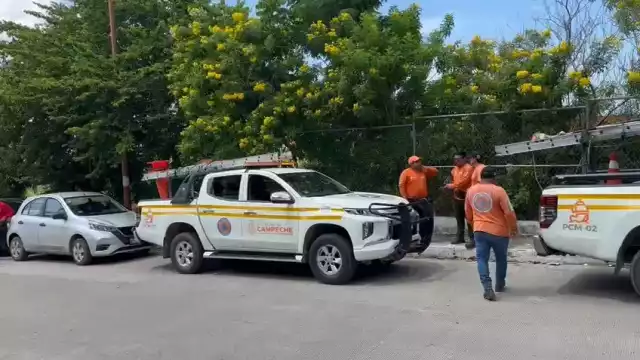 Controlan ataque de abejas en escuela de Campeche; un ciudadano resultó lesionado