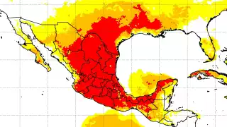 ¿Cuándo dan los resultados de las elecciones 2024?