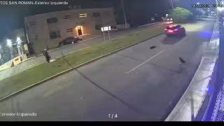 Investigan atropellamiento de un perro en Campeche tras difundirse foto que señalaba a una empresa