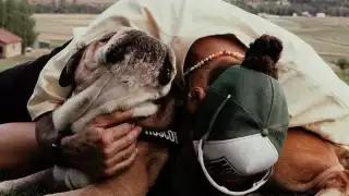 "Perdí a mi mejor amigo, un ángel", Lewis Hamilton confirma la muerte de Roscoe, su bulldog de 12 años