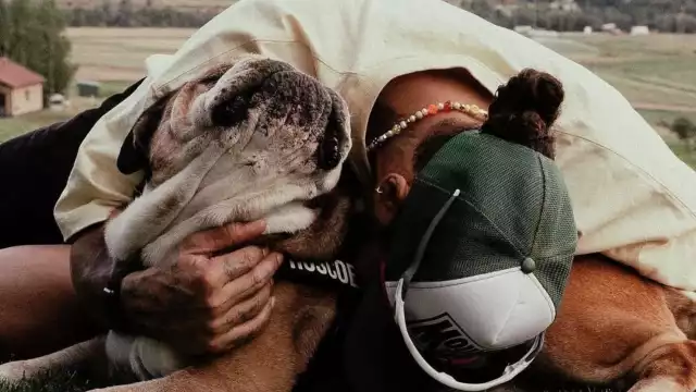 Lewis Hamilton despidió a su bulldog de 12 años; padecía una fuerte enfermedad.