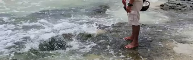 Habitante de Playa del Carmen mira de cerca un ojo de agua