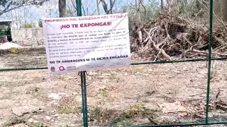 Detectan más de 150 terrenos irregulares en Cozumel; alertan por posibles fraudes    
